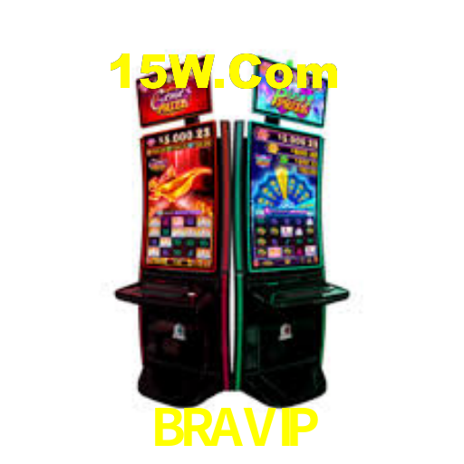 bravip.com