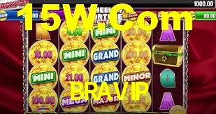 BRAVIP,bravip.com